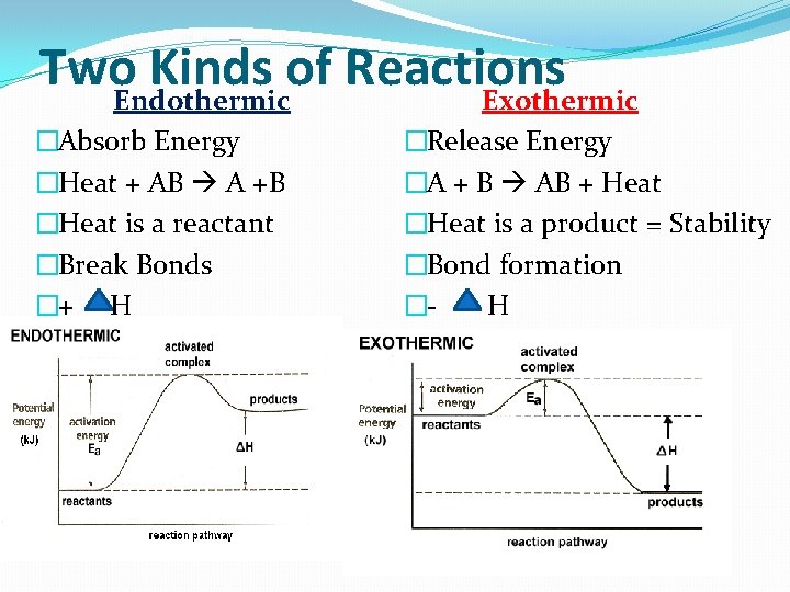 Two. Endothermic Kinds of Reactions Exothermic �Absorb Energy �Heat + AB A +B �Heat