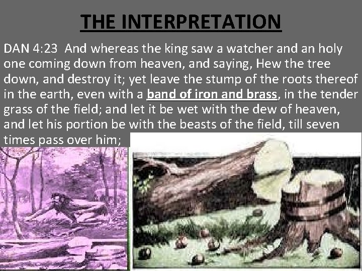 THE INTERPRETATION DAN 4: 23 And whereas the king saw a watcher and an