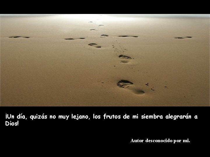 ¡Un día, quizás no muy lejano, los frutos de mi siembra alegrarán a Dios!