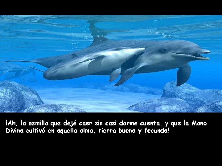 . ¡Ah, la semilla que dejé caer sin casi darme cuenta, y que la