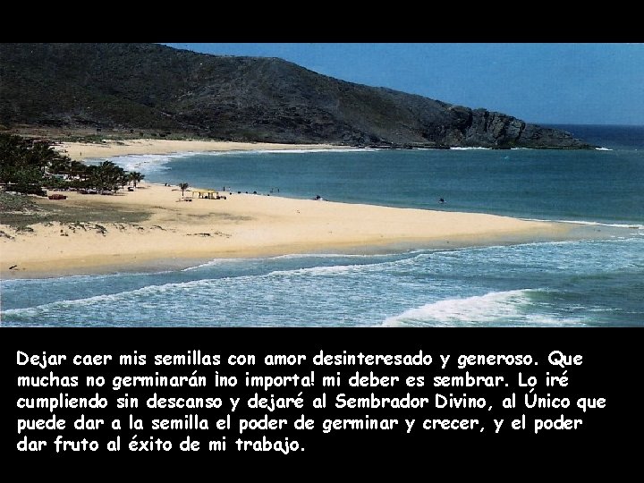 Dejar caer mis semillas con amor desinteresado y generoso. Que muchas no germinarán ¡no