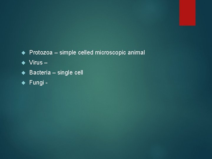  Protozoa – simple celled microscopic animal Virus – Bacteria – single cell Fungi