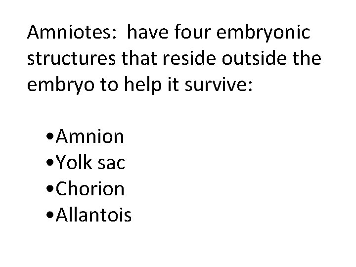 Amniotes: have four embryonic structures that reside outside the embryo to help it survive: