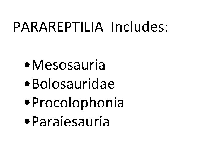 PARAREPTILIA Includes: • Mesosauria • Bolosauridae • Procolophonia • Paraiesauria 