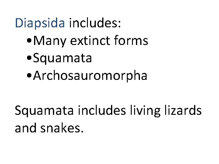 Diapsida includes: • Many extinct forms • Squamata • Archosauromorpha Squamata includes living lizards