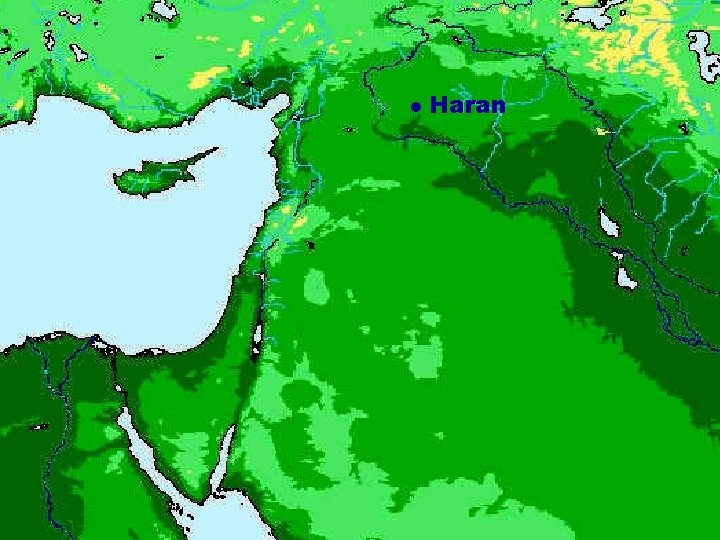  Haran 