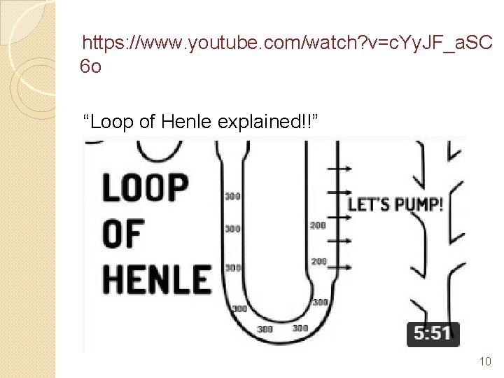 https: //www. youtube. com/watch? v=c. Yy. JF_a. SC 6 o “Loop of Henle explained!!”