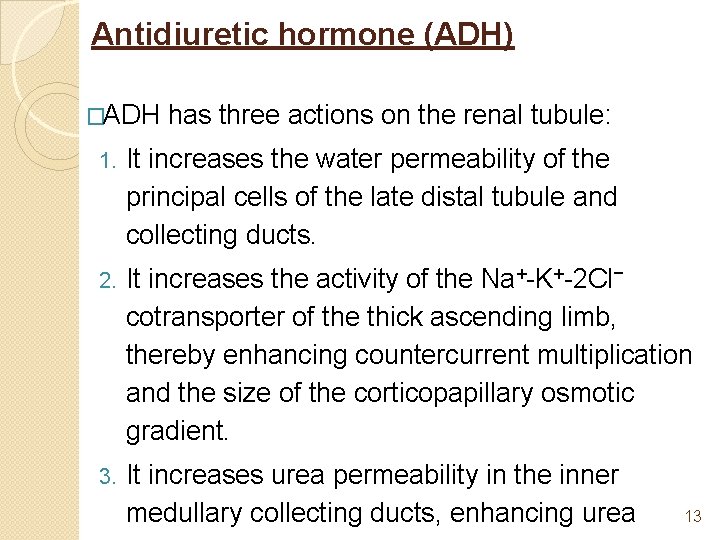 Antidiuretic hormone (ADH) �ADH has three actions on the renal tubule: 1. It increases