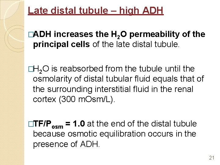 Late distal tubule – high ADH �ADH increases the H 2 O permeability of