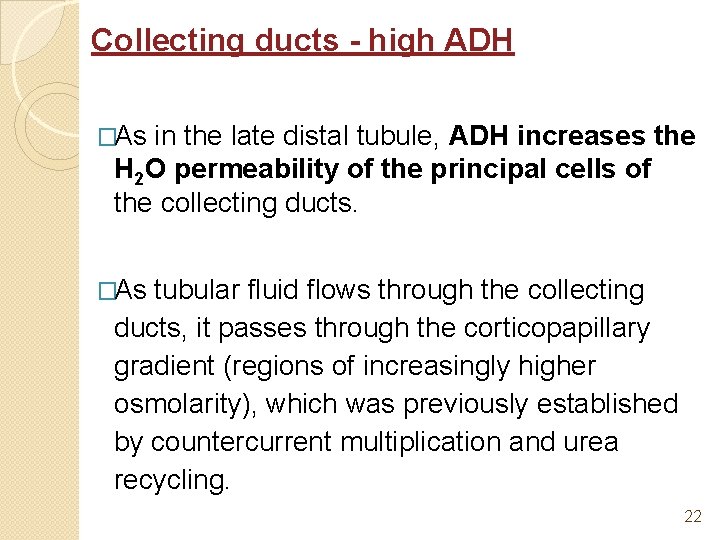 Collecting ducts - high ADH �As in the late distal tubule, ADH increases the