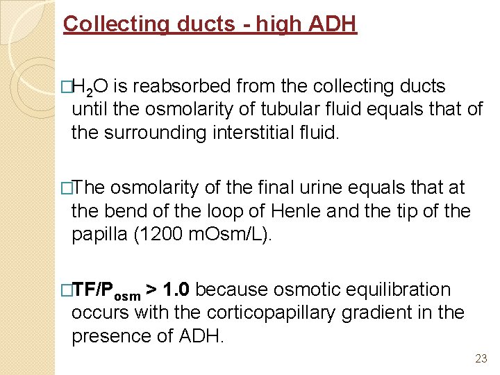 Collecting ducts - high ADH �H 2 O is reabsorbed from the collecting ducts
