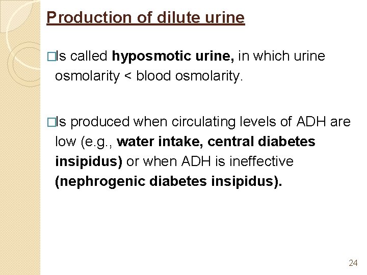 Production of dilute urine �Is called hyposmotic urine, in which urine osmolarity < blood
