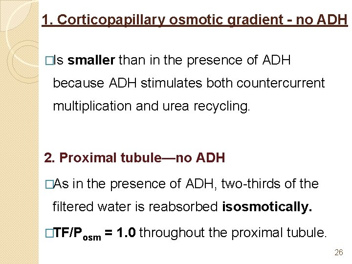 1. Corticopapillary osmotic gradient - no ADH �Is smaller than in the presence of