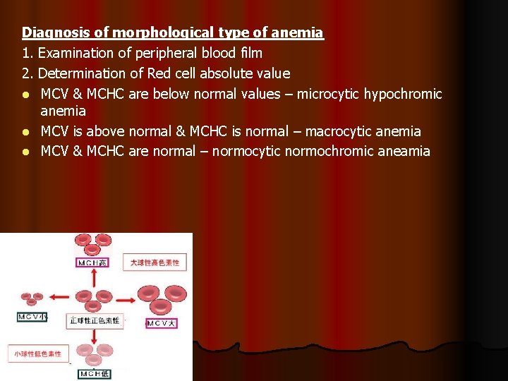 Diagnosis of morphological type of anemia 1. Examination of peripheral blood film 2. Determination