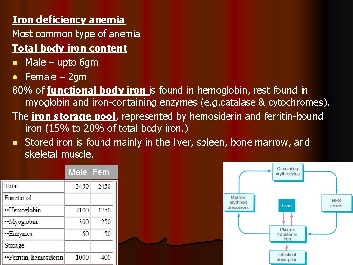 Iron deficiency anemia Most common type of anemia Total body iron content l Male