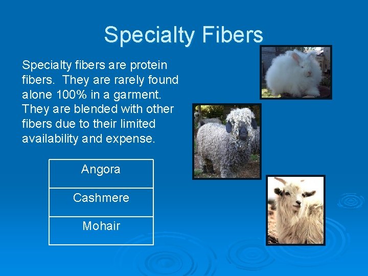 Specialty Fibers Specialty fibers are protein fibers. They are rarely found alone 100% in