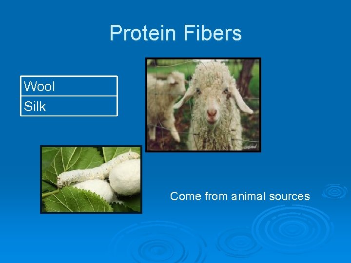 Protein Fibers Wool Silk Come from animal sources 