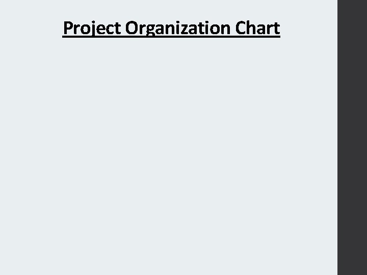 Project Organization Chart 