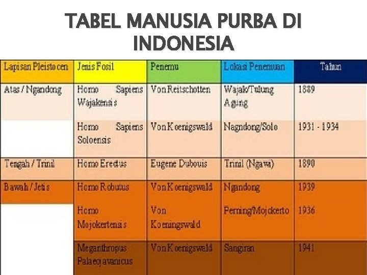 TABEL MANUSIA PURBA DI INDONESIA 