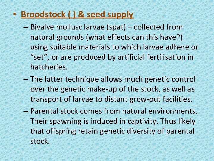 • Broodstock ( ) & seed supply – Bivalve mollusc larvae (spat) – • Broodstock ( ) & seed supply – Bivalve mollusc larvae (spat) –