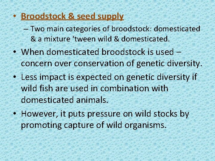  • Broodstock & seed supply – Two main categories of broodstock: domesticated &