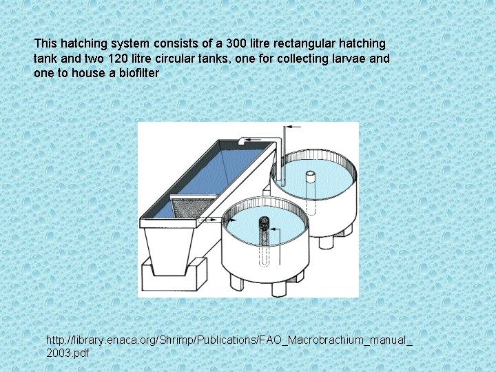 This hatching system consists of a 300 litre rectangular hatching tank and two 120