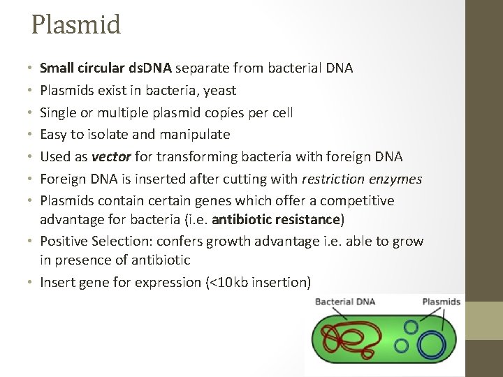 Plasmid Small circular ds. DNA separate from bacterial DNA Plasmids exist in bacteria, yeast