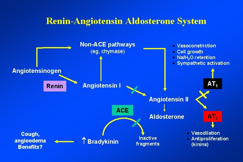 Renin-Angiotensin Aldosterone System Non-ACE pathways · · (eg, chymase) Vasoconstriction Cell growth Na/H 2