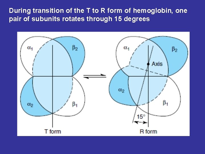 During transition of the T to R form of hemoglobin, one pair of subunits