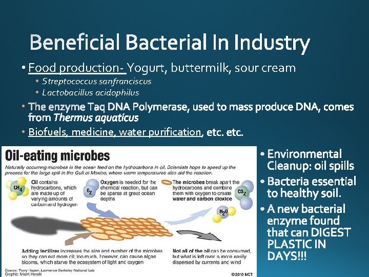  • Food production- Yogurt, buttermilk, sour cream • Streptococcus sanfranciscus • Lactobacillus acidophilus