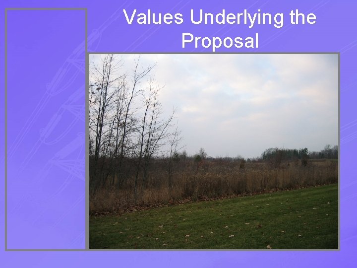 Values Underlying the Proposal 