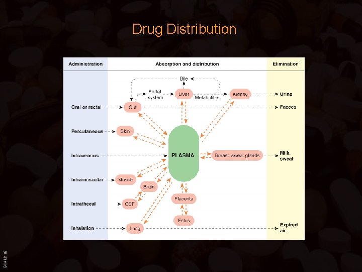 BIMM 118 Drug Distribution 