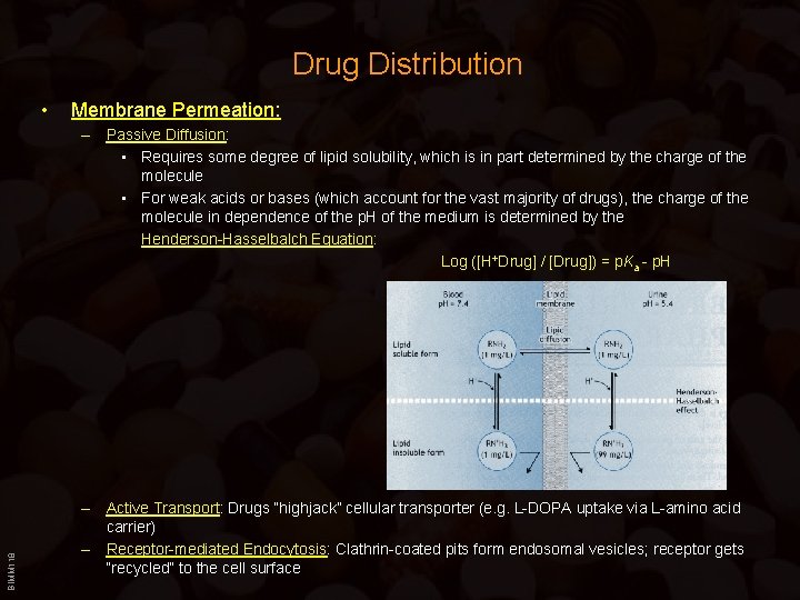 Drug Distribution • Membrane Permeation: BIMM 118 – Passive Diffusion: • Requires some degree