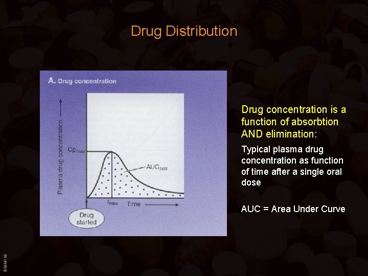 Drug Distribution Drug concentration is a function of absorbtion AND elimination: Typical plasma drug