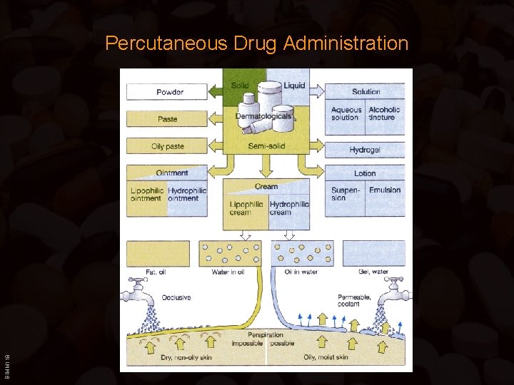 BIMM 118 Percutaneous Drug Administration 