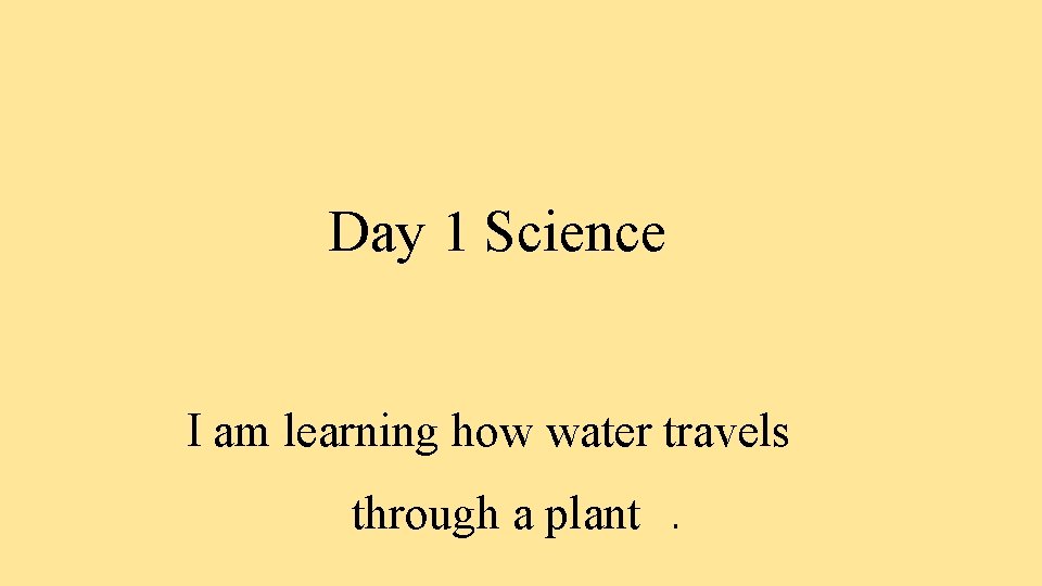 Day 1 Science I am learning how water travels through a plant. 