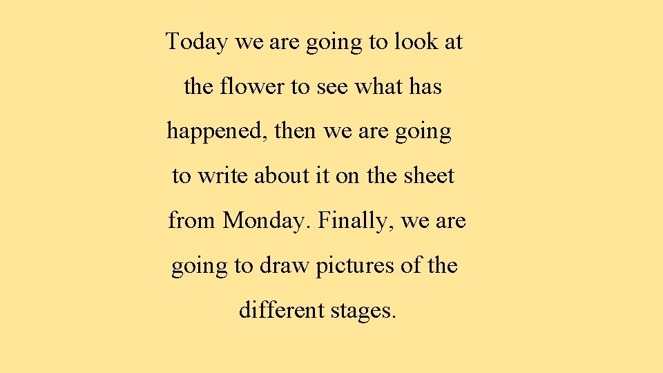 Today we are going to look at the flower to see what has happened,