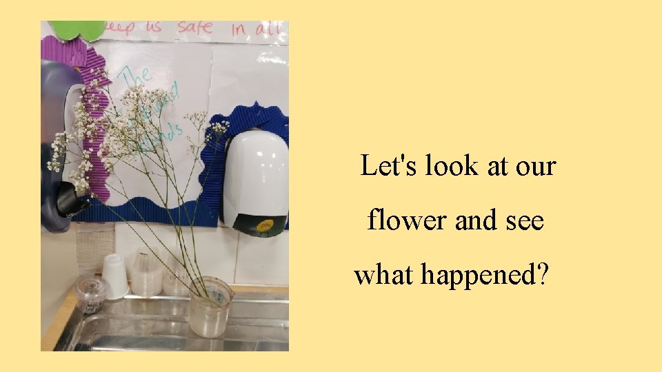 Let's look at our flower and see what happened? 