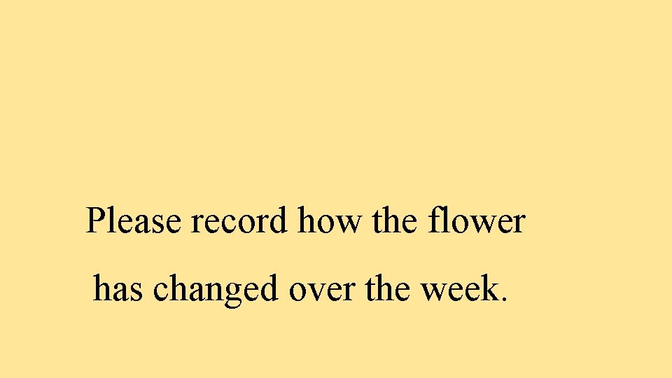 Please record how the flower has changed over the week. 