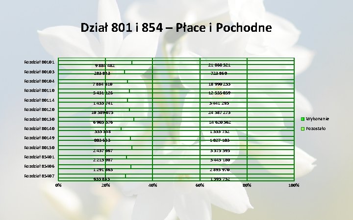 Dział 801 i 854 – Płace i Pochodne Rozdział 80101 21 868 521 9