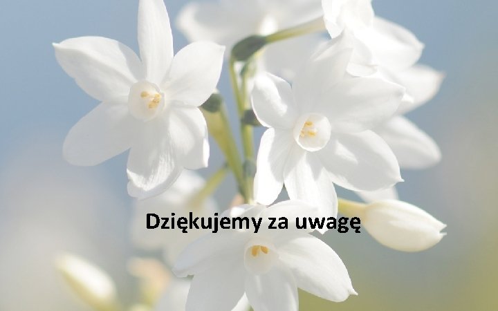 Dziękujemy za uwagę 