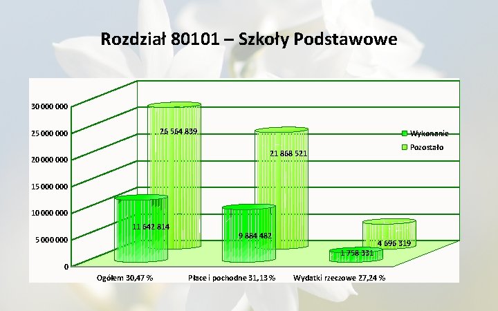 Rozdział 80101 – Szkoły Podstawowe 30 000 26 564 839 25 000 Wykonanie Pozostało