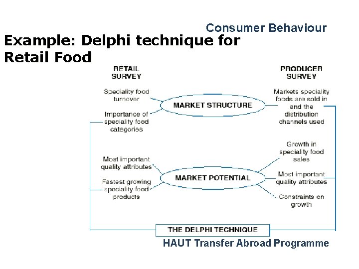 Consumer Behaviour Example: Delphi technique for Retail Food HAUT Transfer Abroad Programme 