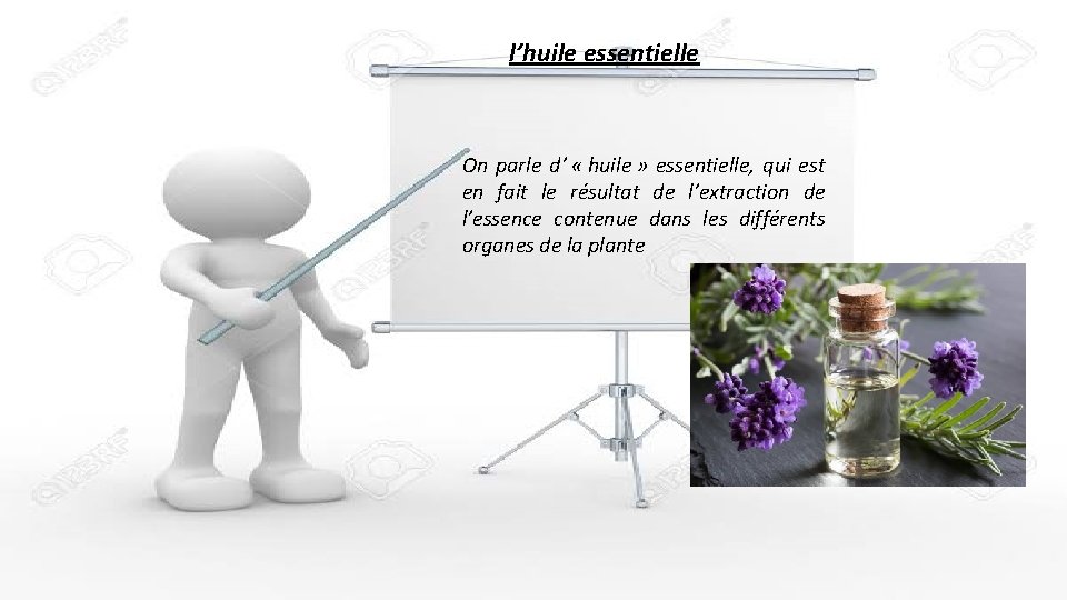 l’huile essentielle On parle d’ « huile » essentielle, qui est en fait le