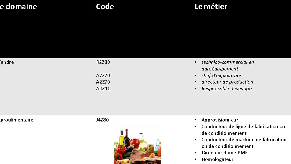 e domaine Vendre Agroalimentaire Code Le métier R 2 Z 80 • technico-commercial en