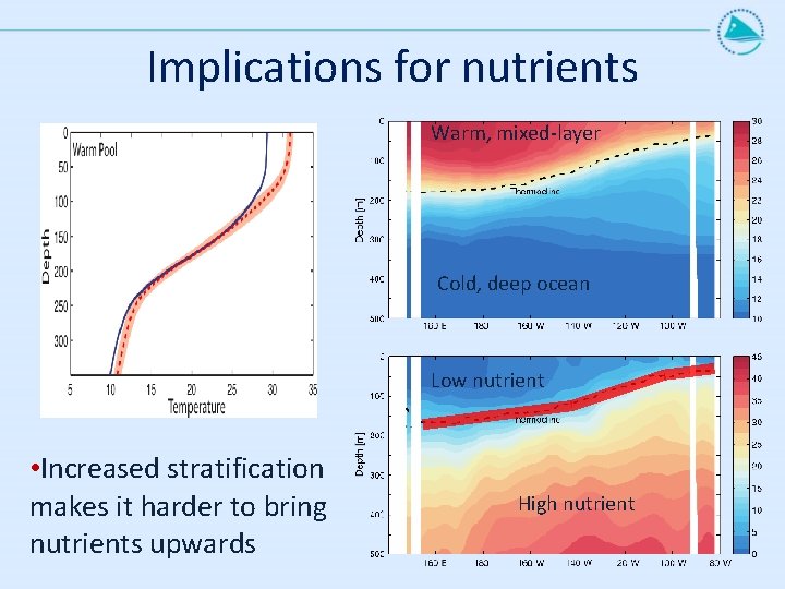 Implications for nutrients Warm, mixed-layer Cold, deep ocean Low nutrient • Increased stratification makes