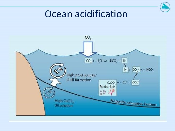 Ocean acidification 