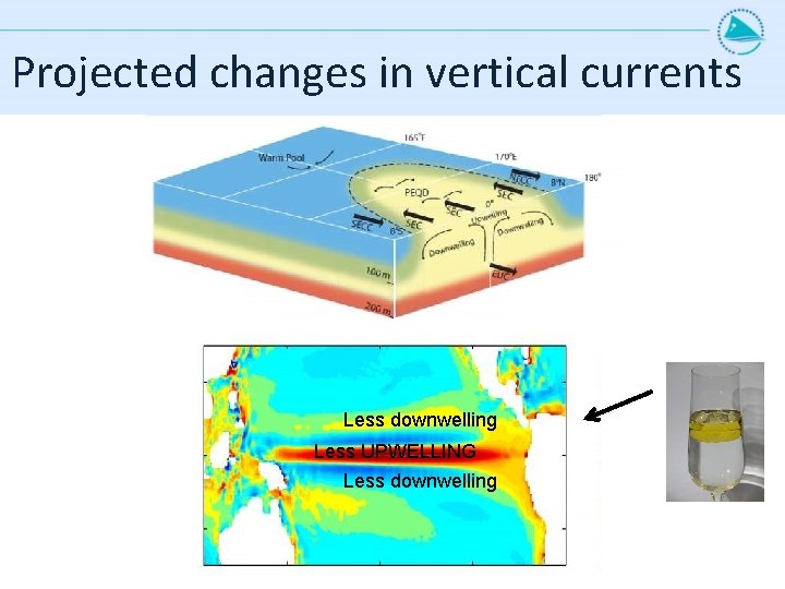 Projected changes in vertical currents Less downwelling Less UPWELLING Less downwelling 