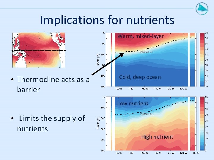 Implications for nutrients Warm, mixed-layer • Thermocline acts as a barrier Cold, deep ocean