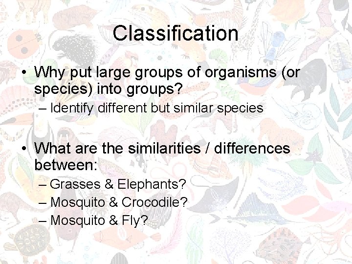 Classification • Why put large groups of organisms (or species) into groups? – Identify Classification • Why put large groups of organisms (or species) into groups? – Identify